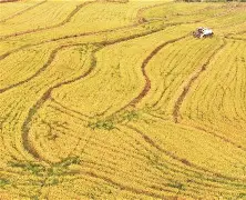 必威体育app-里尔豪取三分战胜亚眠，稳步前进