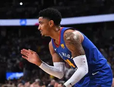 马刺队老将退役，或结束光辉职业生涯的简单介绍